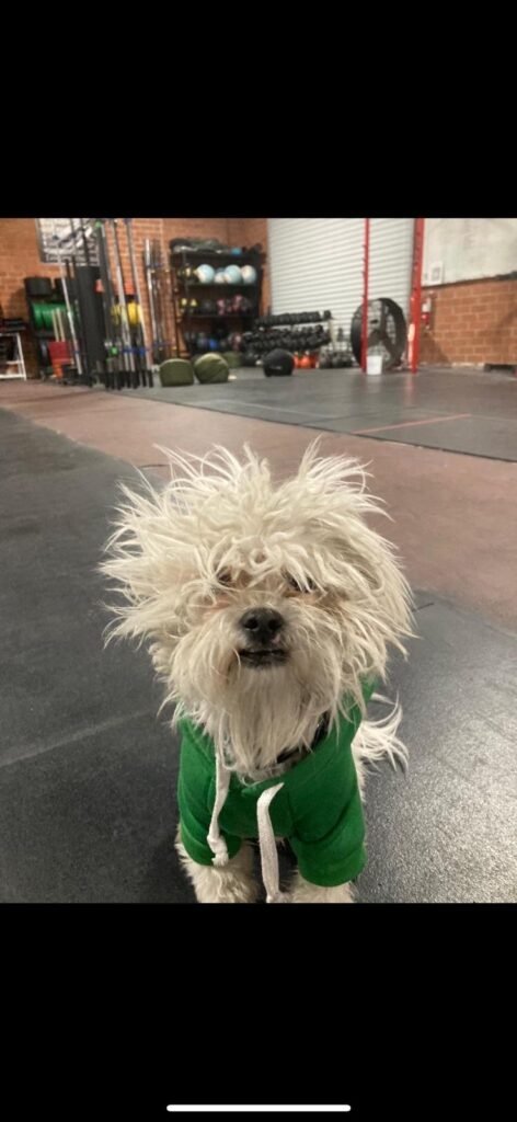 2e3bd56b 104d 4eb1 8cab 9120ae995b8a 2e3bd56b 104d 4eb1 8cab 9120ae995b8a